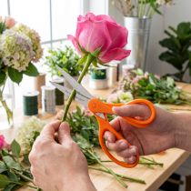 Artikel Blumenschere Edelstahl mit Zähnen Orange 20cm für Floristen