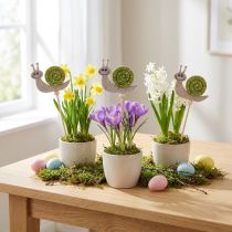Artikel Blumenstecker Schnecke Holz Filz Grün 6,5cm - Verspielte Sommerdeko für Floristen