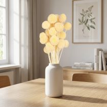 Artikel Craspedia Trockenblumen Creme Dekoration 20 Stk 50-55cm