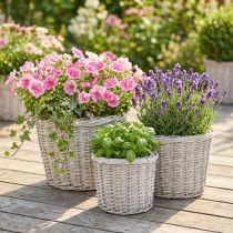 Artikel Großer Pflanzkorb mit Folie Set Weißgrau Ø43/34/28cm 3er-Set dekorativ
