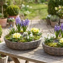Artikel Pflanzringe Holz Rattan Grau Ø40/45cm 2er-Set Blickfang Garten Dekoration