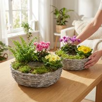 Artikel Pflanzschale Weide Weiß 2er-Set Ø25/30cm Dekorativ Zimmerpflanzen
