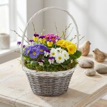 Artikel Henkelkorb Weide Grau Weiß Ø29cm Geschenk Blumendeko