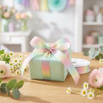 Artikel Pastell Regenbogen Dekoband 15mm x 18m Geschenk- und Floristikband