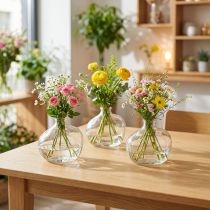 Artikel Kleine Glasvase Transparent Dekorativ Mini Vase Blumenvase 11x6x10cm