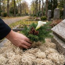 Artikel Deko Moos getrocknet Waldmoos gebleicht Naturdeko 300g