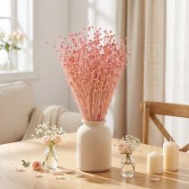 Artikel Trockengras Flachs Deko Hellrosa 50-55cm 80g Tischdeko
