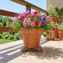 Artikel Blumentopf-Füße Ton 7cm Umbra 3er-Set für Balkon und Terrasse