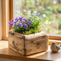 Artikel Pflanztopf Pflanzkasten Holz Blumentopf Natur 12×12×8,5cm