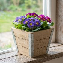 Artikel Blumenkasten Holz Übertopf Shabby Chic Beige 12,5×14,5×14,5cm
