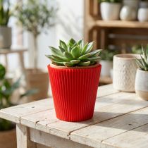 Artikel Plisseemanschetten Rot 8,5cm 100 St.