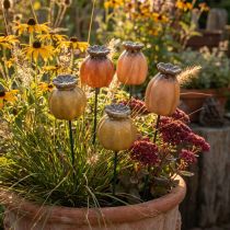 Artikel Gartenstecker Mohnkapsel Set 4 Stück Keramik Braun 41 cm für Gartendekoration und DIY
