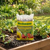 Artikel Beckmann Hornspäne 500g Stickstoffdünger