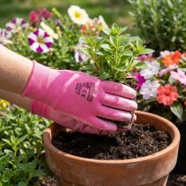 Artikel Kixx Gartenhandschuhe Gr.7 Rosa, Pink