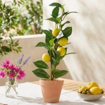 Artikel Zitronenbaum im Topf Künstliche Pflanze 42cm - Mediterrane Deko künstlicher Baum
