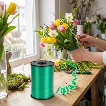 Artikel Kräuselband Dekoband Grün 5mm 500m