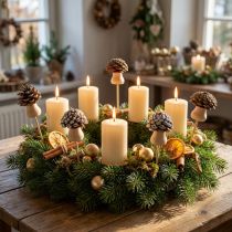 Artikel Blumenstecker Zapfen Pilz Deko Stecker Advent 4,5cm 12 St