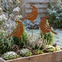 Artikel Gartenstecker Vogel mit Mütze Edelrost Deko 12cm 6 St