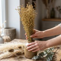 Artikel Getrockneter Flachs, Trockenfloristik, natürlichen Lein Naturfarben L40–55cm 85g