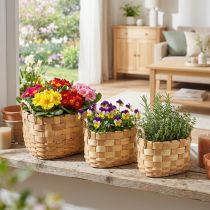 Artikel Pflanzkorb Übertopf mit Henkeln Natur 22/27/33cm 3er-Set