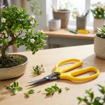 Artikel Oasis Bonsai & Pinzierschere 15,5cm