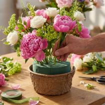 Artikel Nass Steckschaum mit Schale für Blumen H10cm Ø16cm 2 St