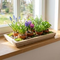 Artikel Tablett aus Paulownia Holz, Pflanzschale mit geometrischem Muster L45cm H4,5cm
