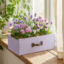 Artikel Pflanzgefäß Deko Schublade Shabby Chic Holz Lila 25×13×8cm