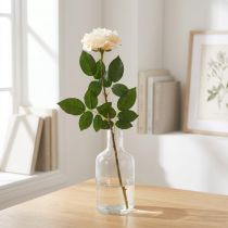 Artikel Rose Cremeweiß-Apricot, Seidenblume, Kunstrosen L72cm Ø12cm