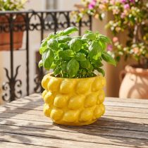 Artikel Blumentopf Keramik Übertopf Zitronen Gelb Ø18cm H13cm