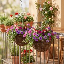Artikel Blumenampel Braun Hängekorb Hängeampel Pflanzkorb Ø31cm 2St