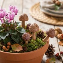 Artikel Blumenstecker Pilz Deko Stecker Holz Braun Ø2,5cm 8 St