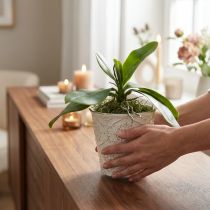 Artikel Künstliche Orchideenblätter mit Luftwurzeln, täuschend echt - Deko-Element für Home & Living, Events