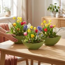 Artikel Pflanzschiffchen Kunststoff Grün Dekoschale 28x9x9cm 3er-Set für Floristen