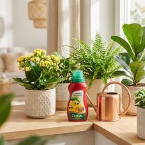 Artikel Chrysal Zimmerpflanzendünger 250ml Stickstoffdünger