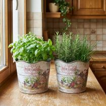 Artikel Kräutertopf Blumentopf Plastik Fresh Garden Stilvoll & Praktisch