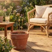 Artikel Citronella Räucherstäbchen Bambus 50cm - Mückenschutz für Terrasse & Garten