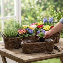 Artikel Pflanzkorb Weidenzweige Braun Oval 57/50/42cm 3er-Set B2B