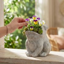 Artikel Frosch Deko Pflanztopf Beton Grau Antik-Look für Garten & Balkon 18,5cm