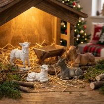 Artikel Handbemalte Krippenfiguren Tiere Set Polyresin Weihnachtskrippe 4 Stück