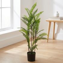 Artikel Farn im Topf Grün 80cm