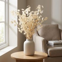 Artikel Lunaria Deko Mondviole Silberblatt getrocknet 90cm 100g