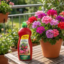 Artikel Chrysal Düngemittel Kübelpflanzen Dünger 1,2l