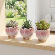 Artikel Mini Keramik Übertöpfe Blütendesign Ø8cm H7cm 3er Set