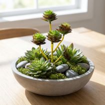 Artikel Sukkulentenpick Grün/Braun 35,5cm