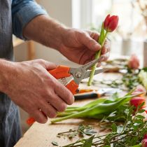 Artikel Blumenschere Edelstahlklingen 4 cm Klingenlänge Neon-Orange für Floristik und Gartenarbeit