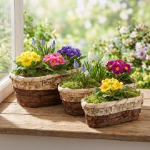 Artikel Pflanzwanne Holz Natur 3-farbig L29,5/25/23cm 3er-Set