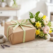Artikel Geschenkband Papier Grün 20mm 10m umweltfreundlich geflochten