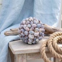 Artikel Dekokugel Seeschnecken Muschelkugel Naturdeko maritim Ø19cm
