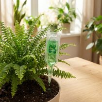 Artikel Grünpflanzen-Dünger Vitalkur Ampullen 30 ml, 5 Stück, Innenbereich
